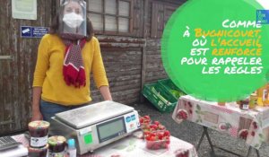 Les cueillettes de fruits et légumes de saison reprennent dans le Douaisis