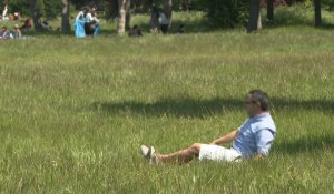 Bain de nature au bois de Boulogne pour le premier dimanche déconfiné