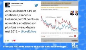 François Hollande encore en baisse dans les sondages : la réaction des internautes