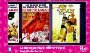 Les confidences de Brigitte Lahaie sur sa carrière d'actrice de charme