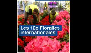 Préparatifs des Floralies internationales à Nantes