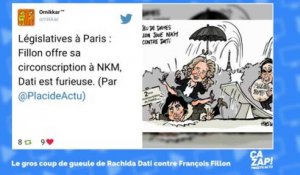 Rachida Dati dézingue François Fillon : les internautes s'en mêlent !
