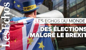 Elections européennes : au Royaume-Uni, une campagne paradoxale