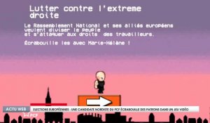 Elections Européennes : une candidate nordiste du PCF écrabouille des patrons dans un jeu vidéo