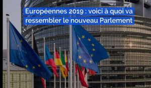 Elections européennes 2019 : voici à quoi va ressembler le nouveau Parlement