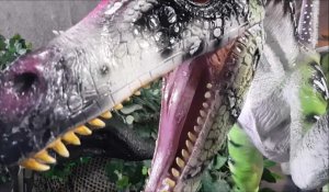 Une exposition de dinosaures au Forum Gambetta à Calais