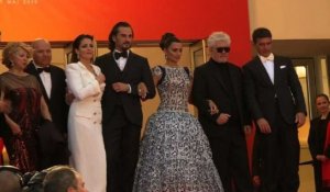 Festival de Cannes: tapis rouge du film "Douleur et gloire"