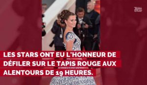 PHOTOS. Cannes 2019 : Penélope Cruz, Nagui et son épouse Mélanie Page... revivez la montée des marches du 17 mai
