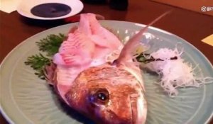 Choc : cette famille mange un poisson qui va SAUTER dans son assiette !