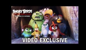 Angry Birds : Copains comme Cochons - Vidéo Exclusive - VF