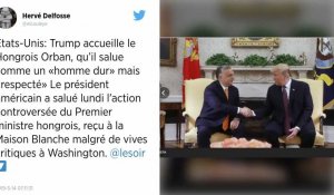 Donald Trump salue l'action du controversé Viktor Orban, en visite à la maison blanche