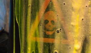 Opération "nature morte" de militants écolos chez Bayer-Monsanto