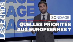 "Je t'aime, moi non plus" : quel est le rapport des Français à l'Europe ?