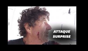 Vendée Globe: Jean Le Cam attaqué par un poisson volant
