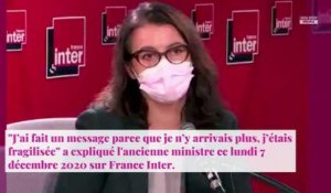 Cécile Duflot harcelée : ses révélations après avoir quitté les réseaux sociaux