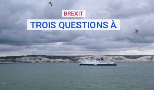 Brexit - Trois questions à Dan Sowden, gérant de la brasserie L'Hovercraft à Calais