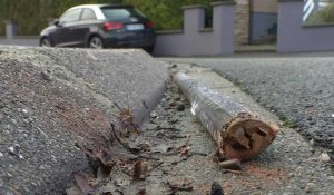 Un jeune homme tué par un mortier d'artifice en Alsace