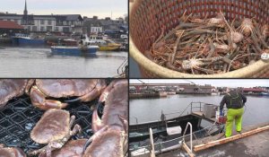 Brexit: en Ecosse, les exportateurs de fruits de mer inquiets pour leur avenir