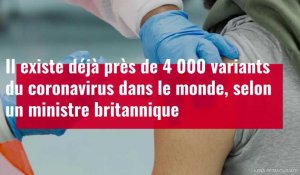 VIDÉO. Il existe déjà près de 4 000 variants du coronavirus, selon un ministre britannique