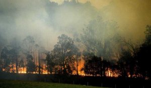 Les incendies repartent à l'assaut de l'Australie