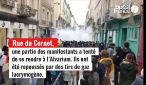 VIDÉO. Manifestations à Angers : Projet de loi bioéthique