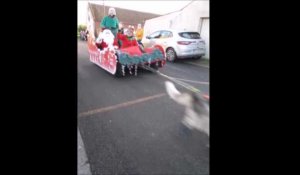 Saulty : des chiens de traîneau pour aider le père Noël dans sa livraison