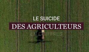 Le suicide des agriculteurs en chiffres