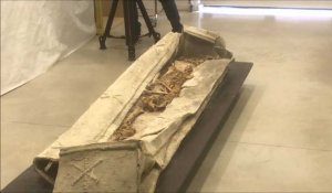 Un sarcophage du Bas Empire dévoilé à la Maison de l'archéologie du pas-de-Calais
