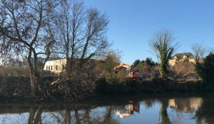 Arbres abattus le long de la Vilaine : une étape « nécessaire » pour la Région