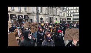 A Angers, environ 900 personnes manifestent pour défendre la PMA pour toutes et soutenir l'Etincelle