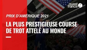 VIDÉO. Prix d'Amérique 2021 : une course mythique à Vincennes