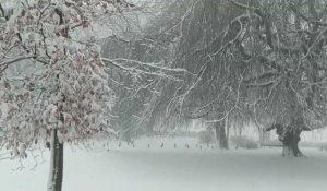 Flandre : 2 à 5 centimètres de neige sont tombés le mercredi 8 mars