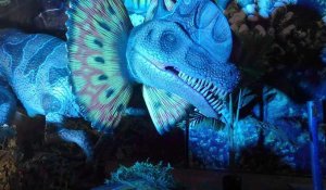 Exposition Dinoshark à Charleville-Mézières