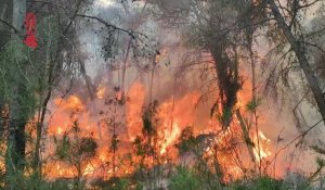 Espagne: évolution favorable du premier feu de forêt majeur de l'année