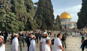 Des fidèles juifs visitent l'enceinte de la mosquée Al-Aqsa à Jérusalem
