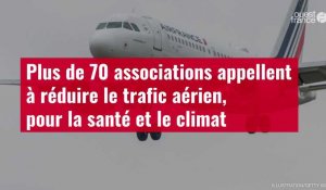 VIDÉO. Plus de 70 associations appellent à réduire le trafic aérien, pour la santé et le climat