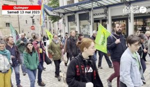 VIDÉO. À Quimper, 70 personnes à la marche pour le climat des Mésanges vertes