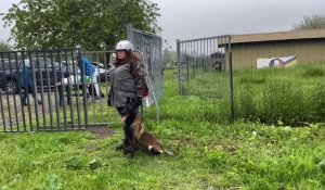 Neuville-Saint-Rémy : concours de chiens sauveteurs