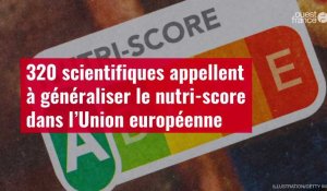 VIDÉO. 320 scientifiques appellent à généraliser le nutri-score dans l’Union européenne