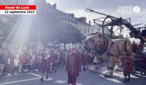 VIDEO. Bull machin fait ses premiers pas dans Nantes sous les acclamations du public