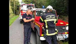 VIDÉO. En Sarthe, les pompiers du Grand Ouest se forment pour lutter contre les feux de forêt