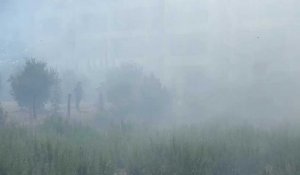 Incendie au centre de Folelli : les flammes ont parcouru un champs 