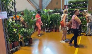 Bourse aux plantes Foire Expo
