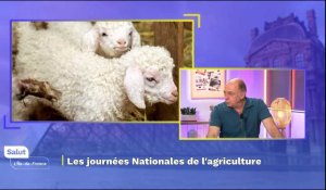 Les Journées Nationales de l’Agriculture reviennent ce week-end en Île-de-France