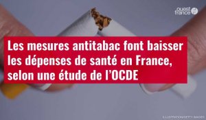 VIDÉO. Les mesures antitabac font baisser les dépenses de santé en France, selon une étude de l'OCDE