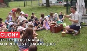 Les écoliers de Cugny et de La Neuville-en-Beine en visite aux ruches pédagogiques