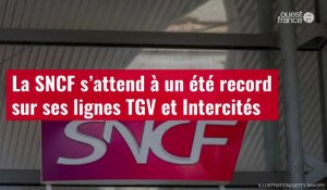 VIDÉO. La SNCF s’attend à un été record sur ses lignes TGV et Intercités