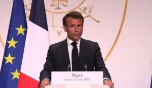 La contre-offensive ukrainienne a commencé pour "plusieurs semaines, voire mois" (Macron)