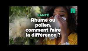 Rhume ou allergie au pollen ? Pourquoi vous toussez et éternuez