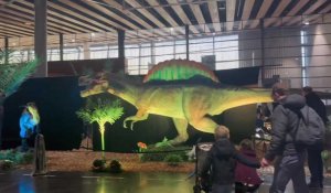 L’exposition « Le Monde des dinosaures » à Lille Grand Palais,
